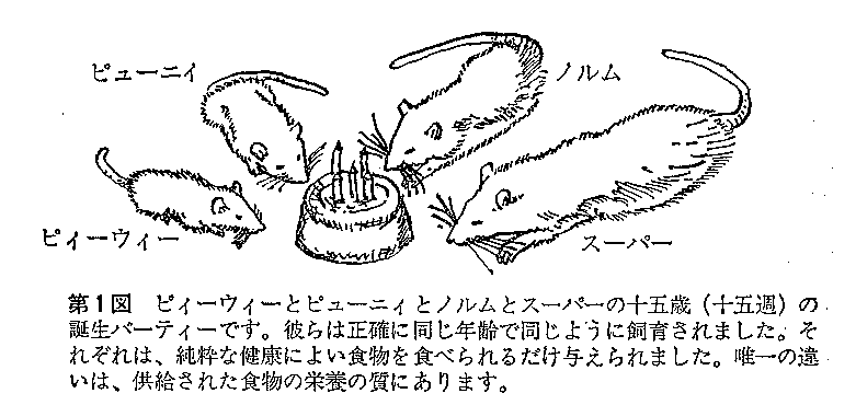 4匹のマウス