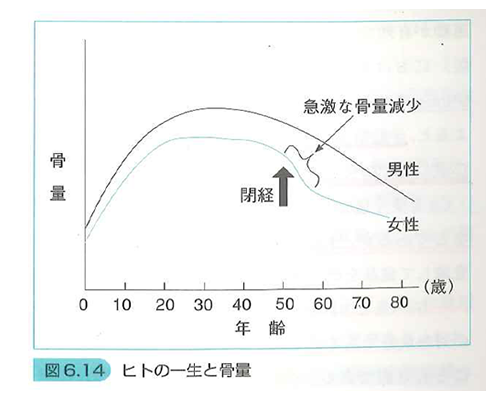 人の一生と骨量