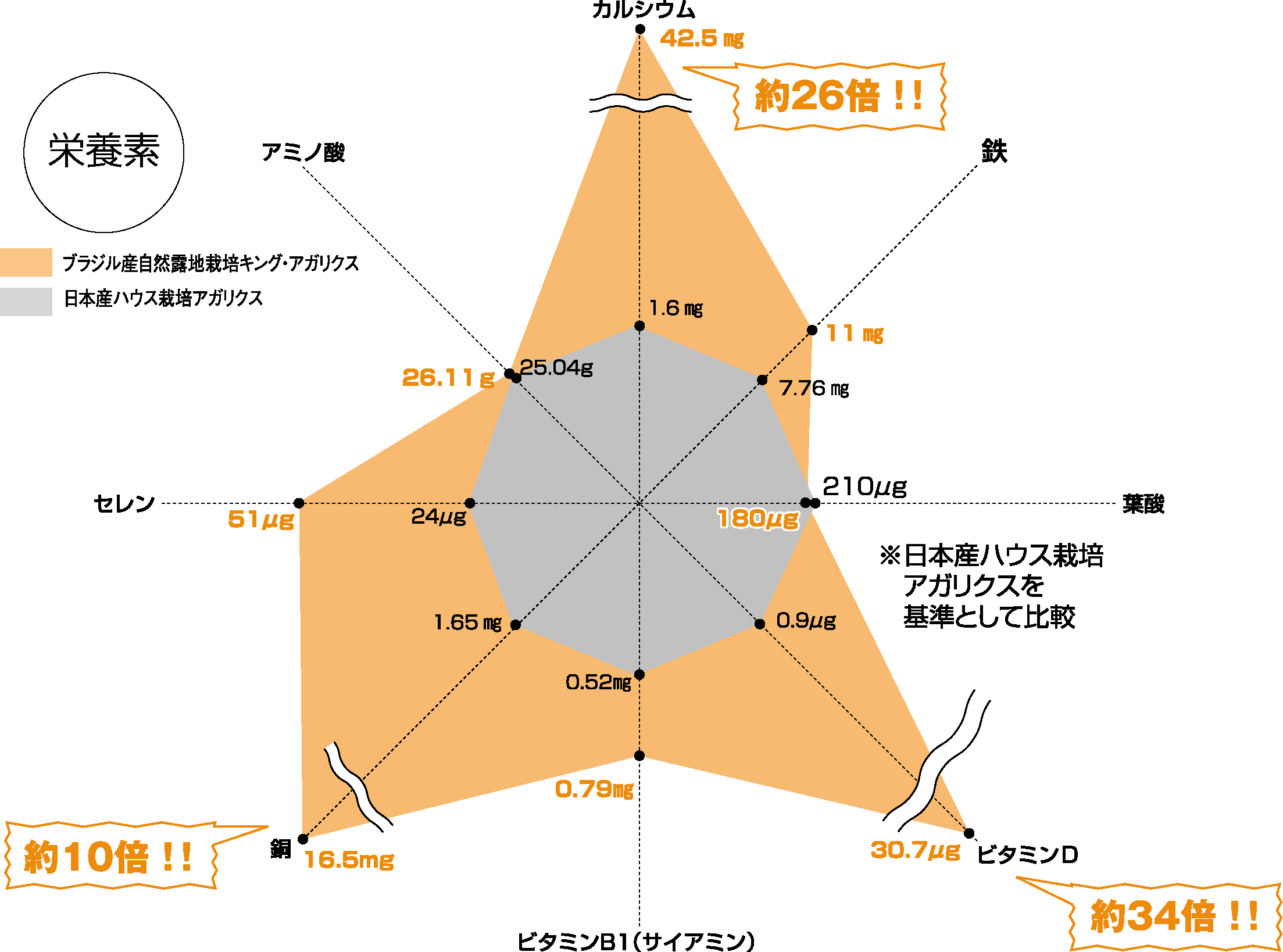 アガリクス栄養素比較