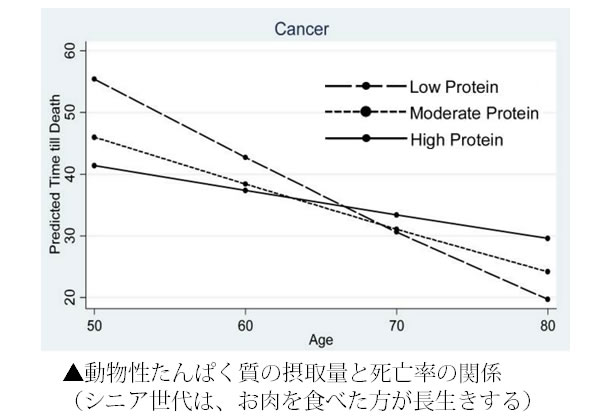 高齢者と動物性たんぱく質