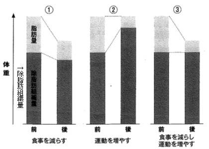 食事量と運動量による変化