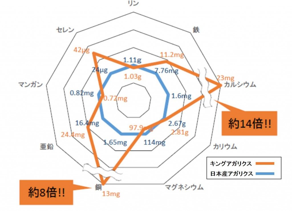 1904SN会長図-web